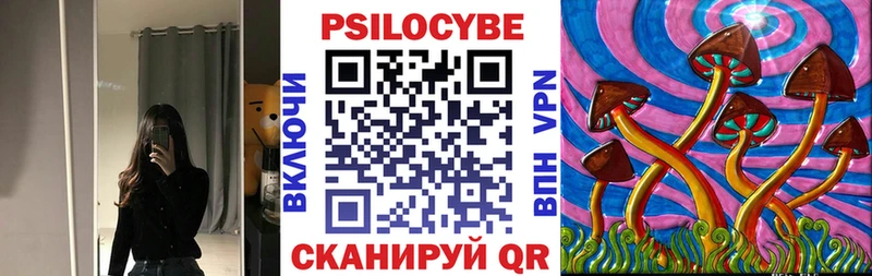 Псилоцибиновые грибы Psilocybe  Змеиногорск 